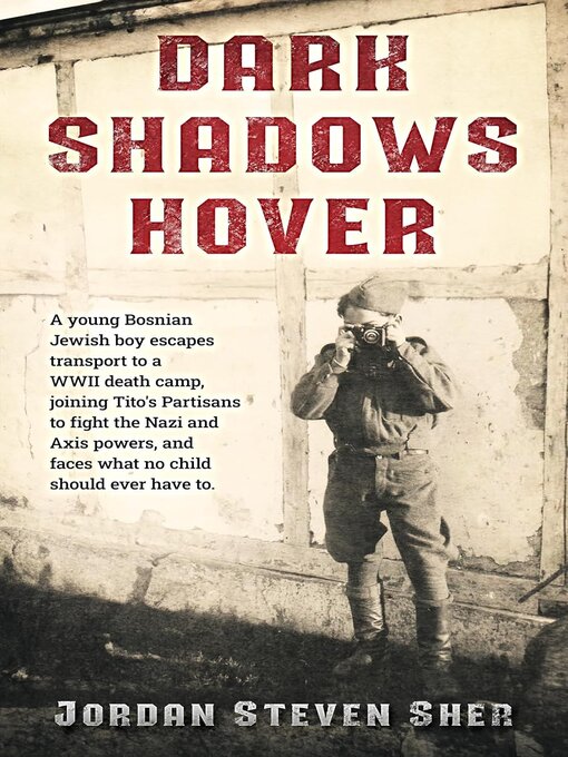 Cover image for Dark Shadows Hover